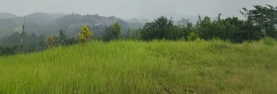 Sungai Jang photo 1
