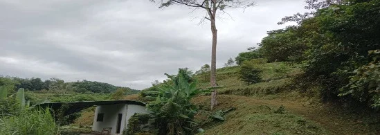 Sungai Jang photo 1