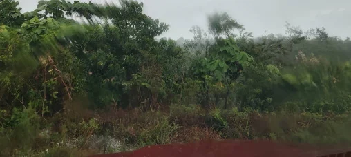 Kampung Air Panas photo 1